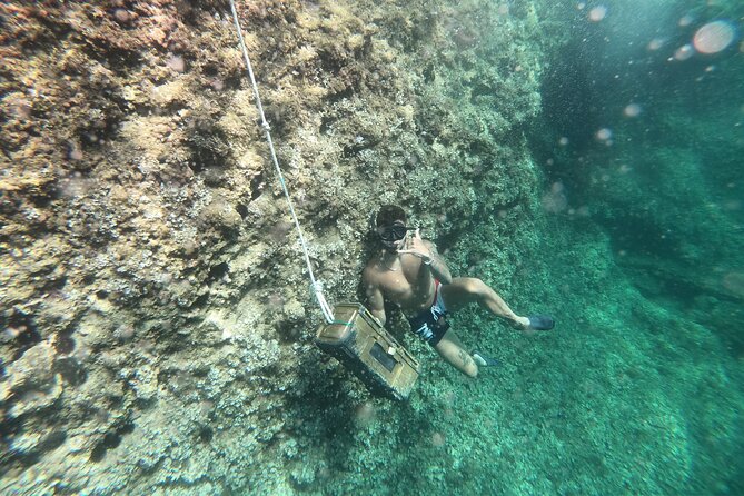 Mallorca: Kayaking, Sea Cave, Cliff Jumping & Snorkel Tour - Starting near Alcúdia with the Fun-Bus option