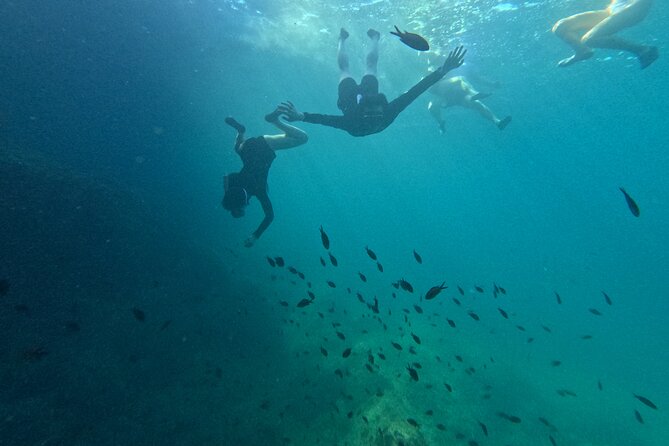 Mallorca: Kayaking, Sea Cave, Cliff Jumping & Snorkel Tour - Group size, guide quality, and the pace of the day