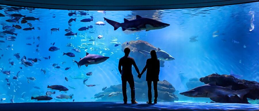Mallorca: Palma Aquarium Entry Ticket w/ Optional 3D Cinema - Is $39 good value for Palma Aquarium?