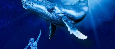 Palma Aquarium Entry Ticket w/ Optional 3D Cinema