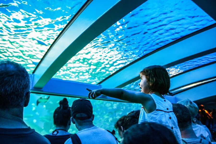 Mallorca: Palma Aquarium Entry Ticket w/ Optional 3D Cinema - Daily feedings make the animals easier to understand