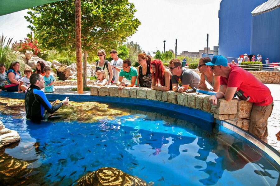 Mallorca: Palma Aquarium Entry Ticket w/ Optional 3D Cinema - Why families can spend a full day here