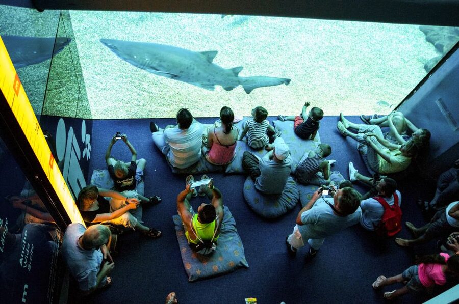Mallorca: Palma Aquarium Entry Ticket w/ Optional 3D Cinema - Food, breaks, and comfort during the visit