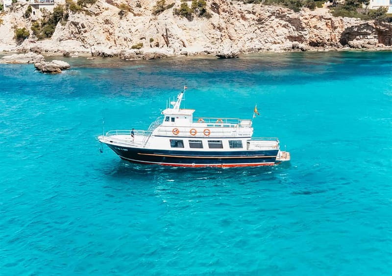 Mallorca: Palma Boat Tour & Snorkeling with Drink Included - Who will enjoy the Super Delfin Verde most?