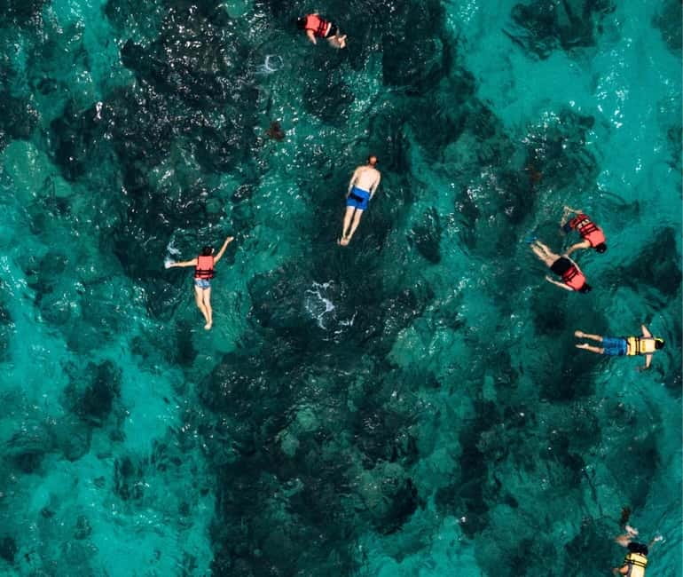 Mallorca: Palma Boat Tour & Snorkeling with Drink Included - Is the $40 price good value?