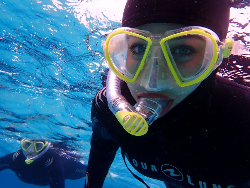 Mallorca: Snorkeling in a Beautiful Nature Reserve - Why Mallorca’s nature reserve makes a difference