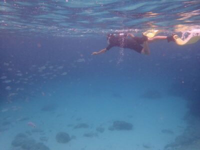 Snorkeling in a Beautiful Nature Reserve