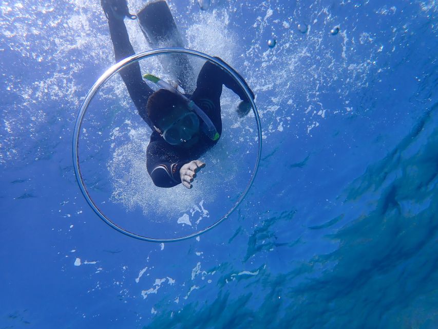 Mallorca: Snorkeling in a Beautiful Nature Reserve - The snorkeling section: fish, rock, and seagrass