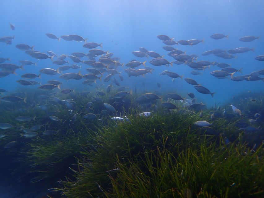 Mallorca: Snorkeling in a Beautiful Nature Reserve - How much time you really get in the sea