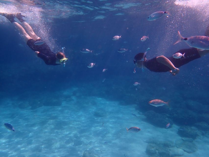 Mallorca: Snorkeling in a Beautiful Nature Reserve - Guides, children, and nervous beginners