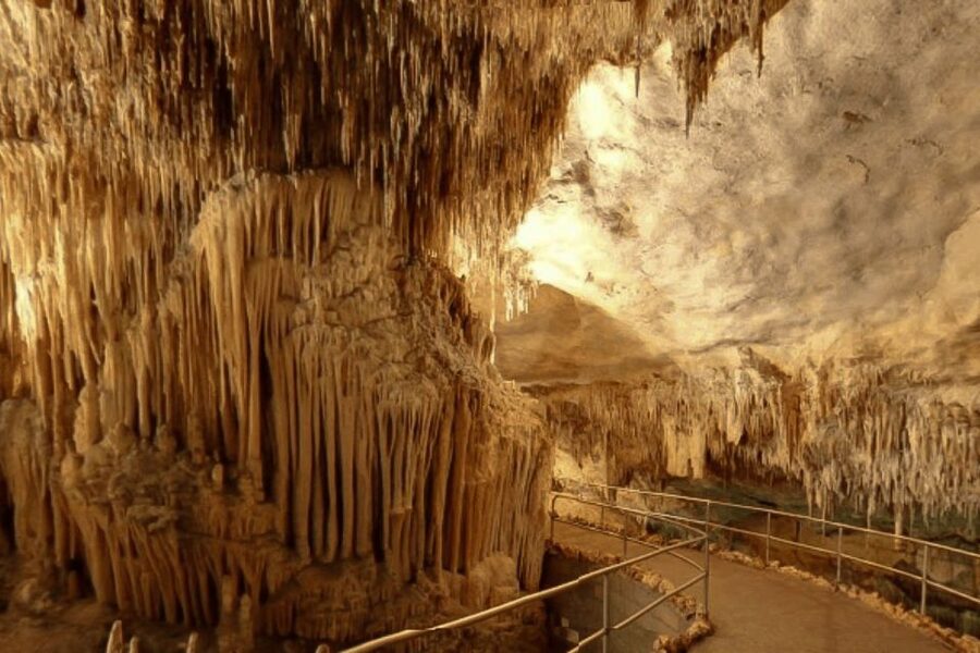 Mallorca: Ticket for Caves of Drach with Pickup Service - Key points to know before you go