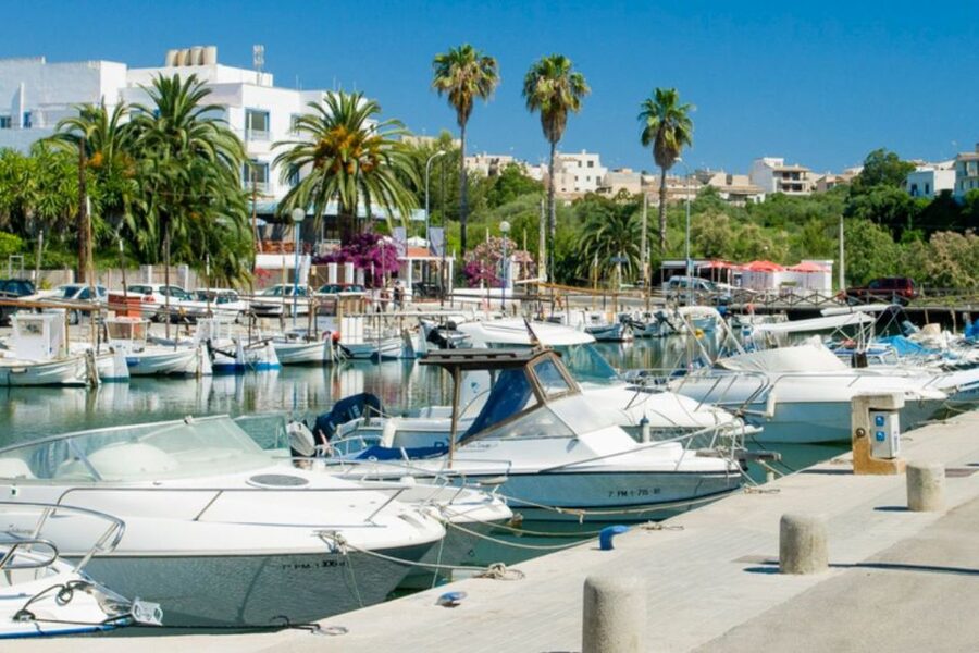 Mallorca: Ticket for Caves of Drach with Pickup Service - Should you book the Caves of Drach pickup tour?