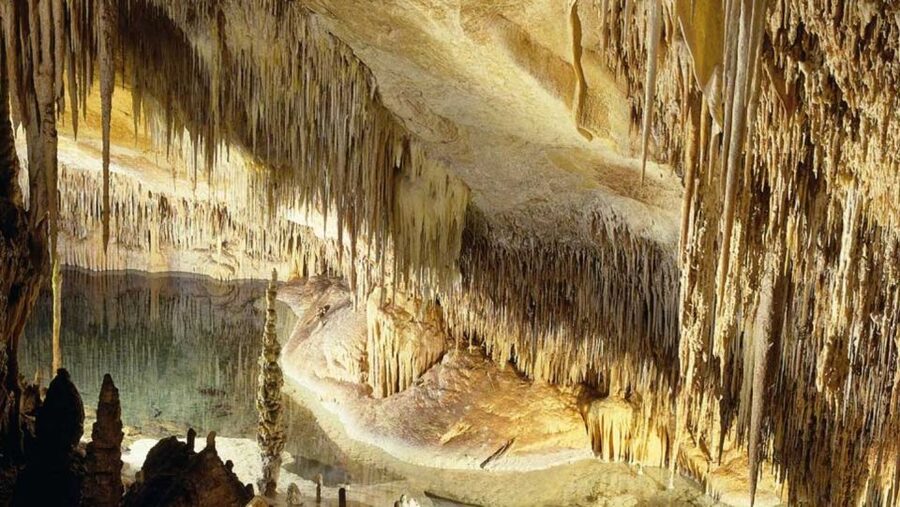 Mallorca: Ticket for Caves of Drach with Pickup Service - The Caves of Drach, Mallorca’s underground showpiece
