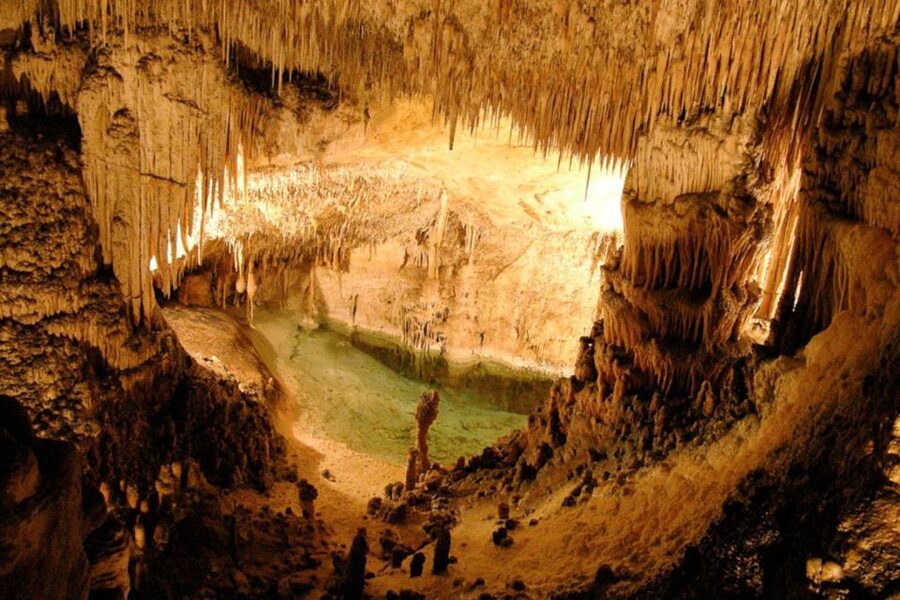 Mallorca: Ticket for Caves of Drach with Pickup Service - A short stop in Porto Cristo