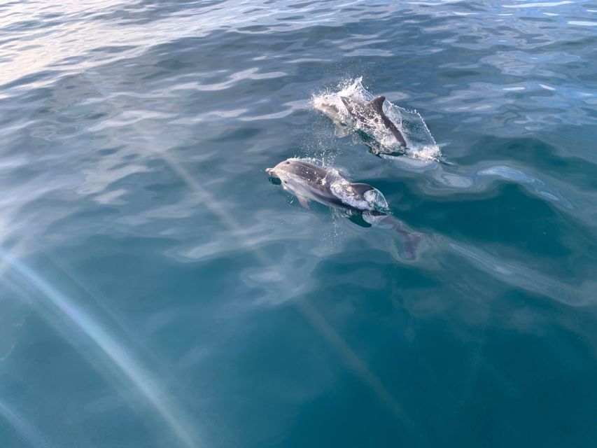 Marbella: Sailing & Dolphin Watching with Snacks and Drinks - How long the outing really lasts