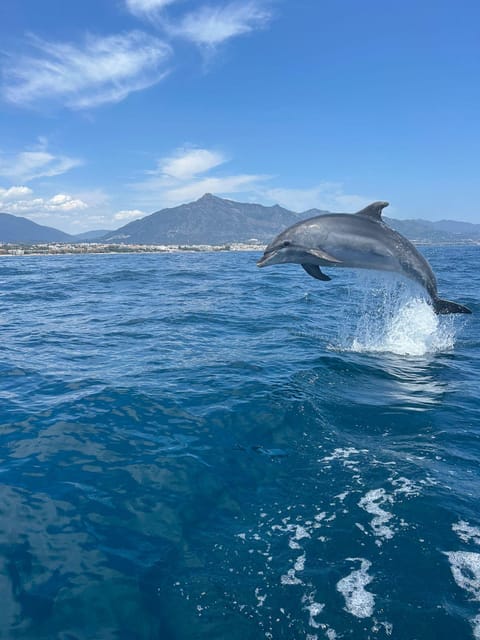 Marbella: Sailing & Dolphin Watching with Snacks and Drinks - The first hour at sea