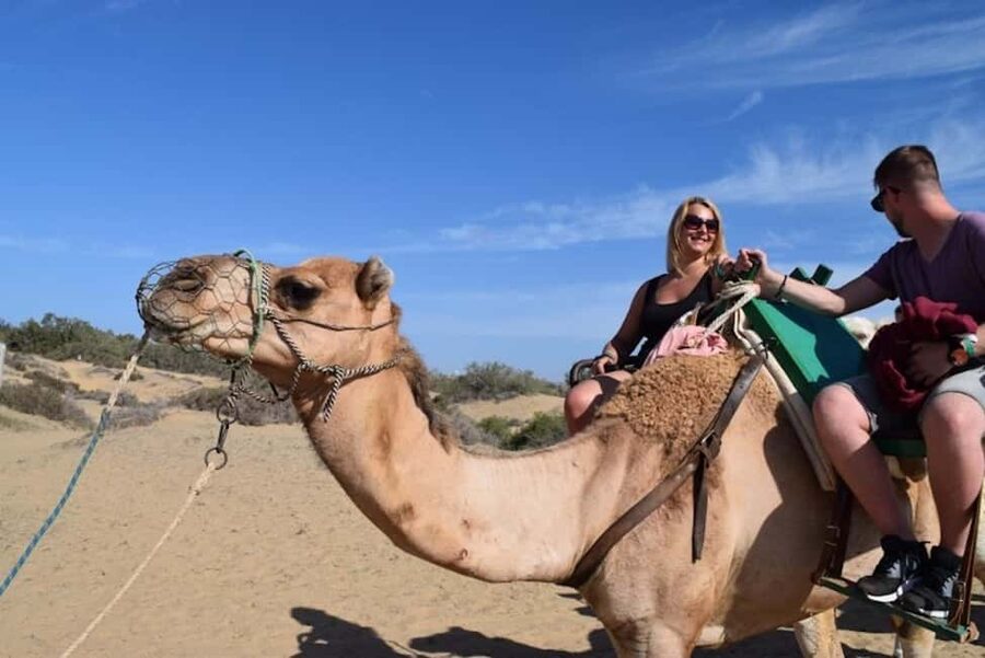 Maspalomas: Guided Camel Ride in the Maspalomas Sand Dunes - Climbing onto a two-person saddle