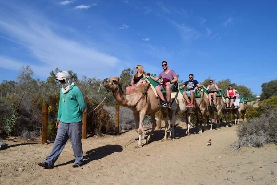 Maspalomas: Guided Camel Ride in the Maspalomas Sand Dunes - Riding through the Maspalomas dunes