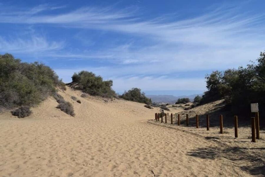 Maspalomas: Guided Camel Ride in the Maspalomas Sand Dunes - Practical tips for a smoother ride