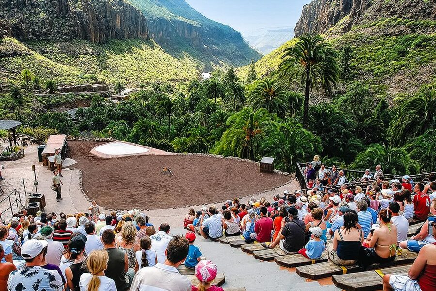Maspalomas: Palmitos Park Ticket with Dolphin and Bird Shows - The Island of Primates and other animals