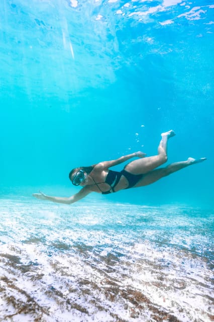 Menorca: Natural Coves and Beaches Boat Trip & Paella Lunch - Practical tips for a better day