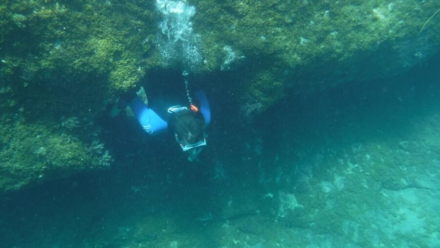 Mogán: Guided Kayak to Caves and Snorkeling Tour - The guides make a real difference
