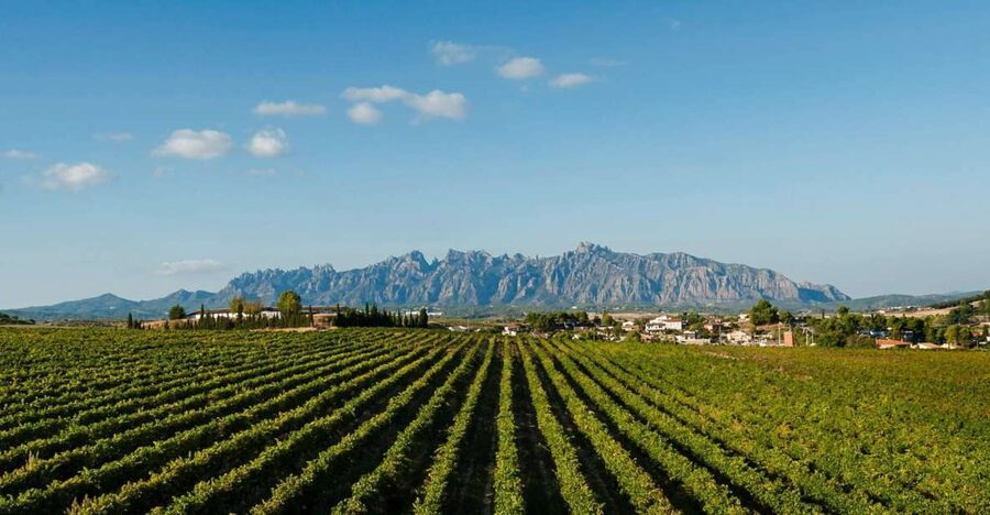 Montserrat & Cava Wineries Day Trip from Barcelona w/ Pickup - Why this makes a strong Barcelona day trip