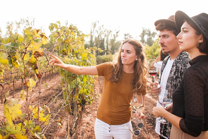 Montserrat & Cogwheel Train, Gourmet Wine Tasting & Tapas/Lunch - Riding the cogwheel train up Montserrat