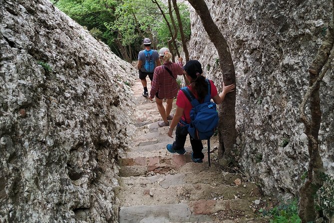Montserrat Hiking Experience & Monastery Premium Small Group Tour - Is the $90.80 price good value?