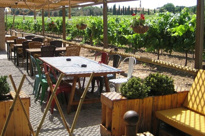 Montserrat & Winery Visit Tour with Traditional Farmhouse Lunch - Three hours among Montserrat’s rocks