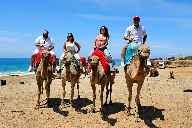 Morocco: Tangier Private Tour from Malaga & Tarifa, All Inclusive - The early ride to Tarifa