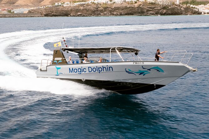 Morro Jable: 2 Hours Magic Dolphin & Whale watching with Drinks & Swim Stop. - Is $59.13 a fair price?
