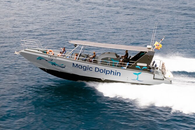 Morro Jable: 2 Hours Magic Dolphin & Whale watching with Drinks & Swim Stop. - Dolphins, pilot whales, and the luck factor