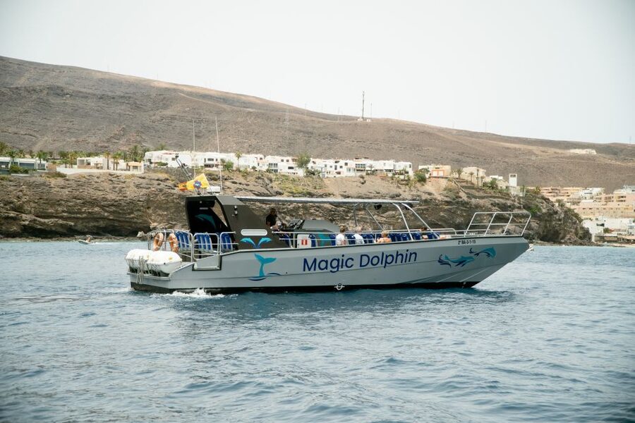 Morro Jable: Dolphin & Whale Watching Cruise, Drinks & Swim - Guides who make the wildlife easier to understand