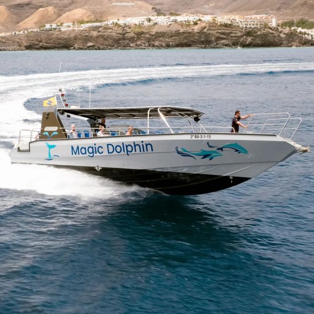 Morro Jable: Dolphin & Whale Watching Cruise, Drinks & Swim - Pickup from Costa Calma, Esquinzo, Morro Jable, and Jandía