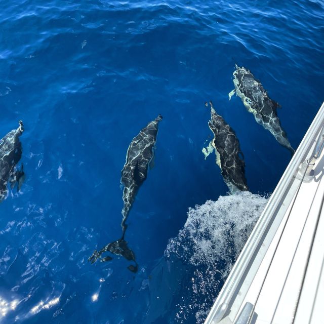 Morro Jable: Sailing Boat Excursion with Food and Drinks - Meeting the boat in Morro Jable