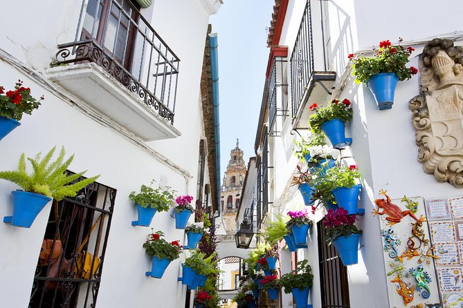 Mosque-Cathedral, Alcazar & Jewish Quarter with Tickets - Alcázar de los Reyes Cristianos: palace, fortress, and gardens