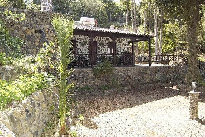 Mt. Teide and Masca Valley Tour in Tenerife - Pickup details that can make or break the morning
