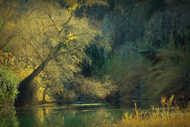 Murcia: Canyon of Almadenes Rafting, Caves & Photos - Otter Cave and the return to the water