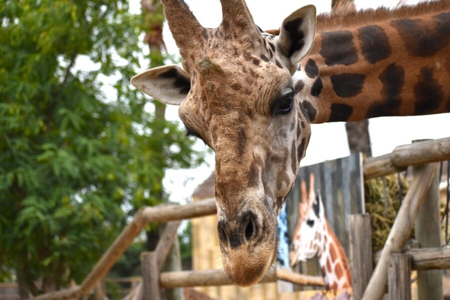 Murcia: Terra Natura Murcia Ticket Entry - Key Things to Know Before You Go