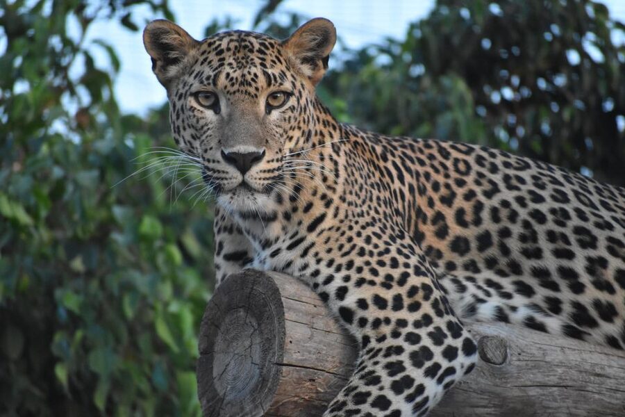 Murcia: Terra Natura Murcia Ticket Entry - Practical Tips for a Better Visit