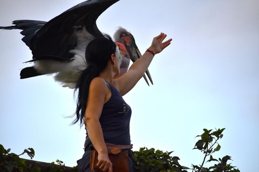 Murcia: Terra Natura Murcia Ticket Entry - Shows, Talks, and Educational Activities