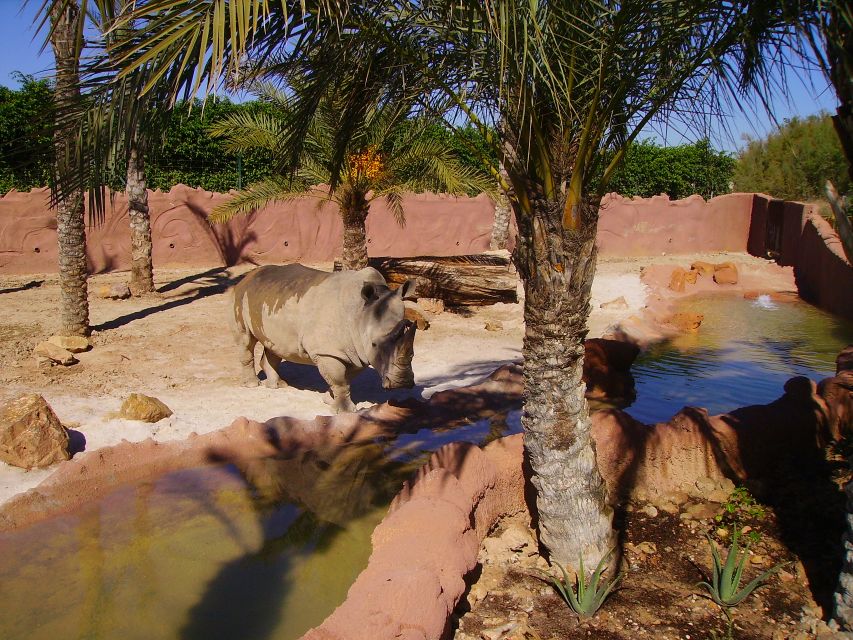 Murcia: Terra Natura Murcia Ticket Entry - Food, Rest Stops, and Extra Costs