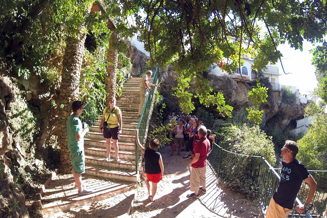 Natural Parck Jeep Eco Tour from Costa del Sol - Three hours among the mountains of Sierra de las Nieves