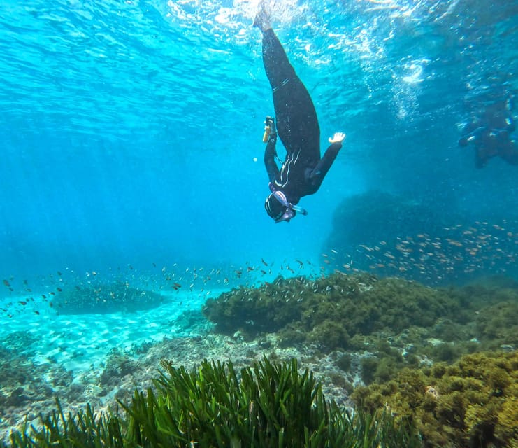 Nerja-Maro: Snorkeling & Sea Scooter Speedboat Trip - From Burriana Beach to the Maro cliffs