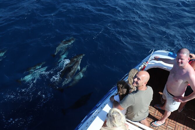 Odyssee 3: The Glass Bottom Boat Tour in Fuerteventura - Setting off from Puerto de Morro Jable