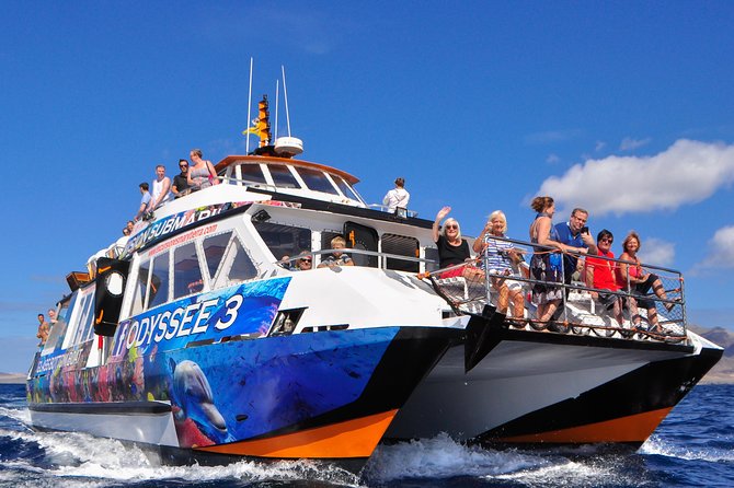 Odyssee 3: The Glass Bottom Boat Tour in Fuerteventura - Music, photos, seagulls, and the final hour