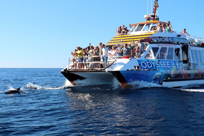 Odyssee 3: The Glass Bottom Boat Tour in Fuerteventura - What the $90.51 price really buys