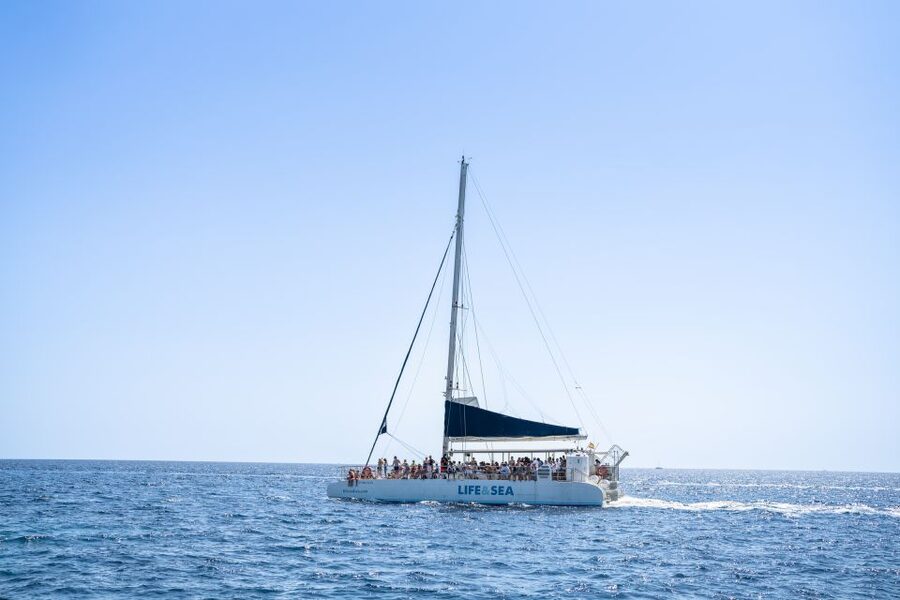 Palma: Catamaran Cruise with Swimming and Snorkelling - Cap Enderrocat and Cala Vella from the water