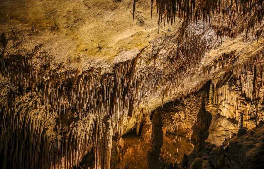 Palma: Caves of Drach Entrance, Music Concert, and Boat Trip - Lake Martel and the short wooden boat ride